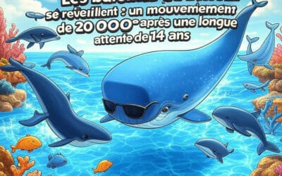 Les baleines du Bitcoin se réveillent : un mouvement de 20 000 BTC après une longue attente de 14 ans