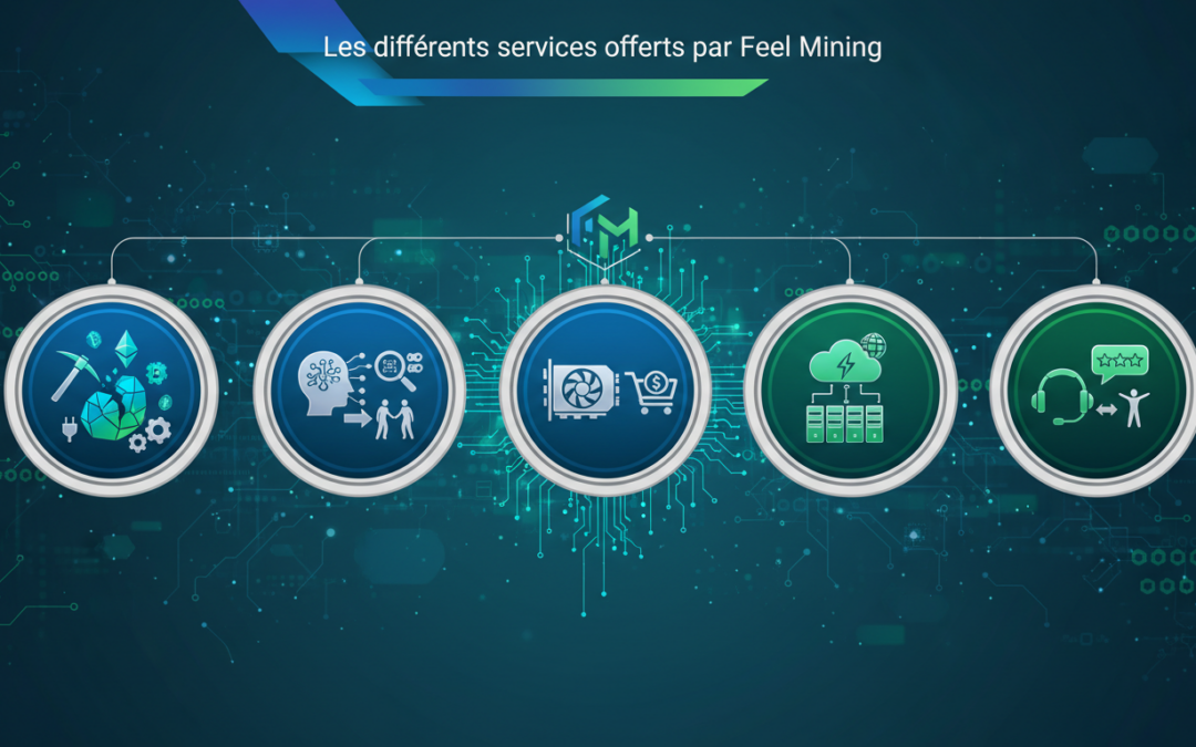 Les différents services offerts par Feel Mining