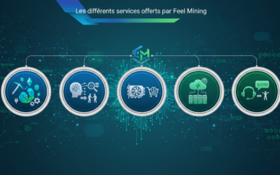 Les différents services offerts par Feel Mining